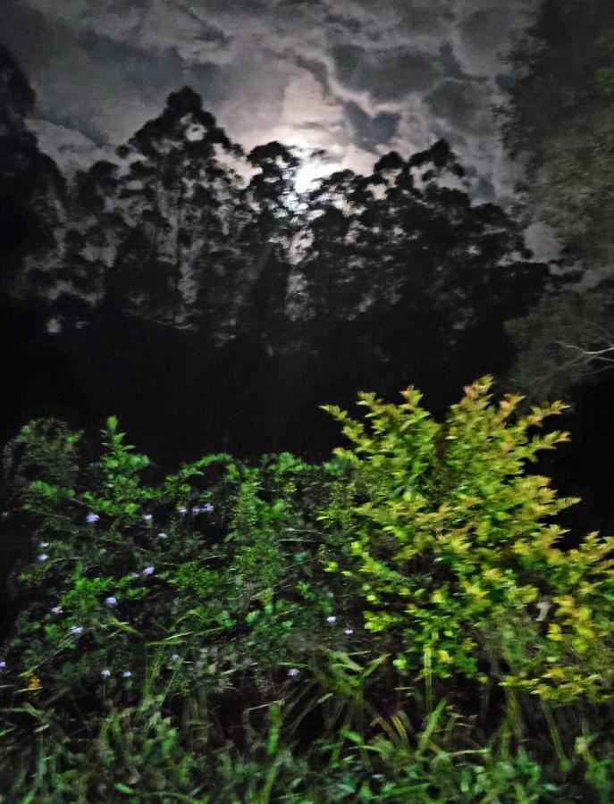 Pesqueiro E Pousada Rota Do Sol Mogi das Cruzes Zewnętrze zdjęcie